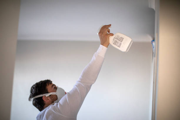 Best Crawl Space Mold Removal  in Clearfield, PA